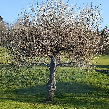 Gite Bard Des Ours Saint-Martin-en-Vercors Esterno foto